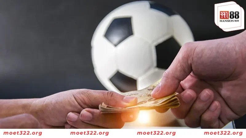 Tổng Hợp Các Loại Kèo Bóng Đá HOT Tại M88 3 Hướng dẫn đọc kèo dành cho newbie