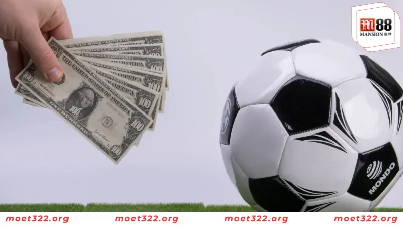 Tổng Hợp Các Loại Kèo Bóng Đá HOT Tại M88 4 Hướng dẫn thành viên cách đọc kèo chấp nửa trái