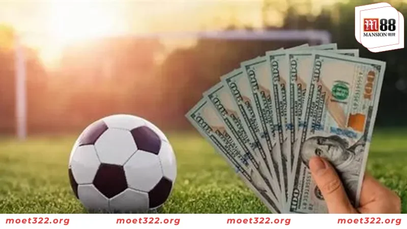 Tổng Hợp Các Loại Kèo Bóng Đá HOT Tại M88 6 Cách đọc kèo Tài xỉu dễ hiểu cho tân binh