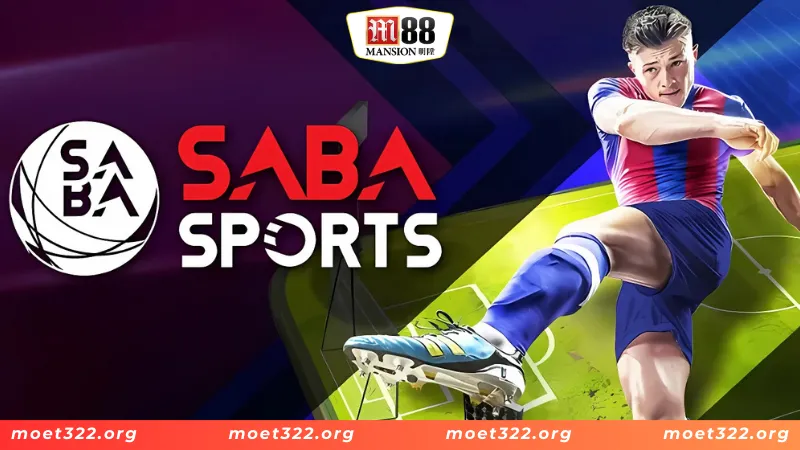 Sapa Sports - Sảnh Thể Thao Giúp Anh Em Làm Giàu Cực Nhanh 5 Cách chơi cá cược bóng đá tại sảnh thể thao Sapa sports