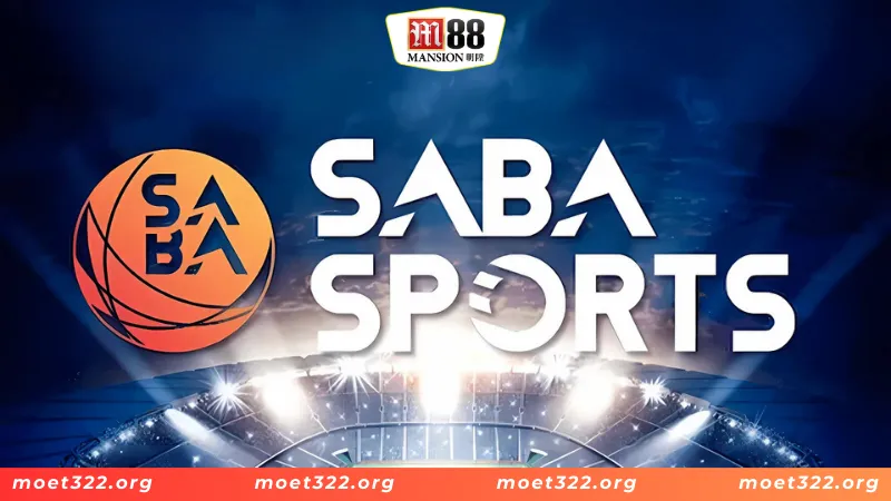 Sapa Sports - Sảnh Thể Thao Giúp Anh Em Làm Giàu Cực Nhanh 6 Quy định cá độ bóng đá tại sảnh thể thao Sapa sports