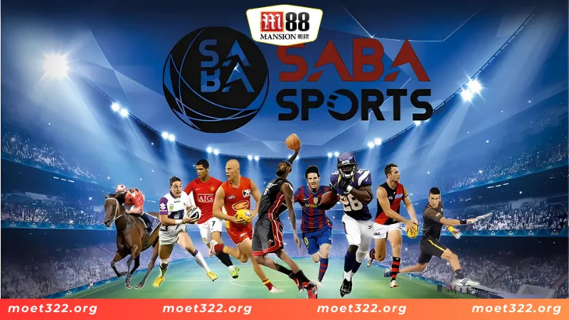 Sapa Sports - Sảnh Thể Thao Giúp Anh Em Làm Giàu Cực Nhanh 4 Thể thao thực tế tại sảnh Sapa sports M88