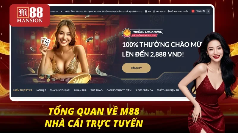 M88 31 Cái nhìn tổng quan nhất về nhà cái M88